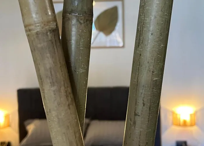 Lägenhet & Traky, Saint Vlas, улица черно море 12 *